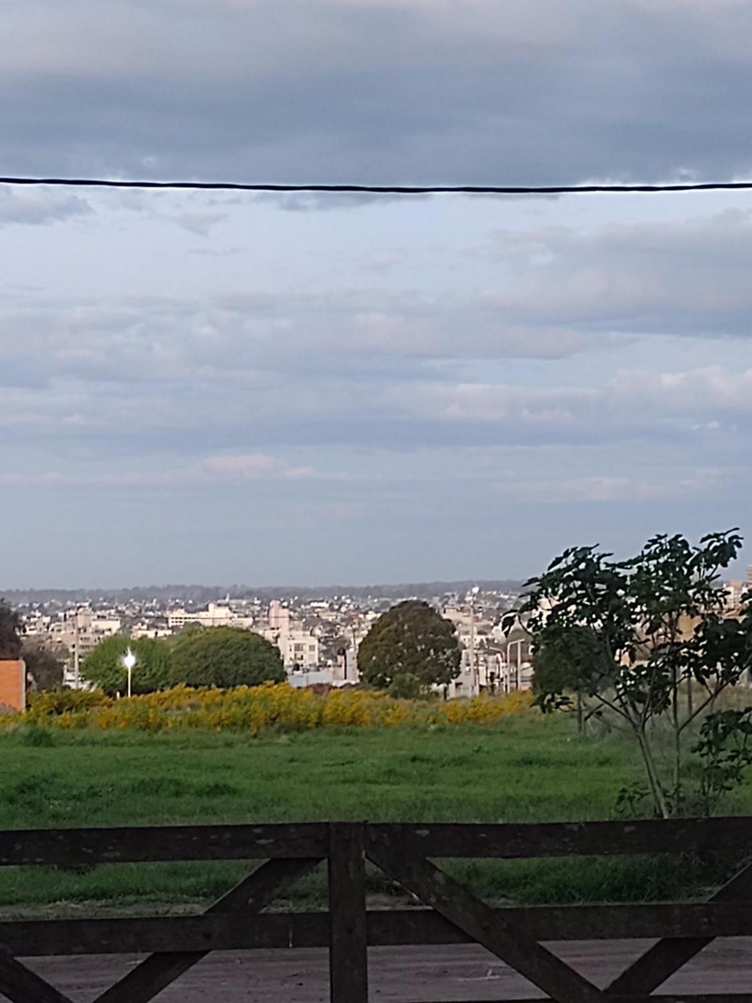 Eucaliptos Tandil